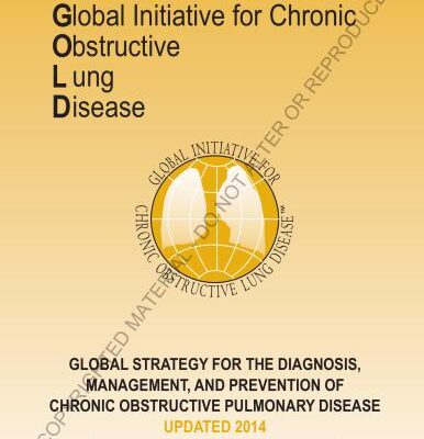 خرید و دانلود نسخه کامل کتاب Global Initiative for Chronic Obstructive Lung Disease (Updated 2014) (GOLD 2014)