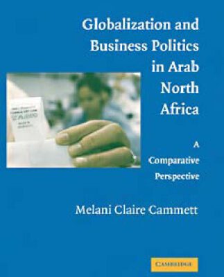خرید و دانلود نسخه کامل کتاب Globalization and Business Politics in Arab North Africa: A Comparative Perspective