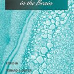 خرید و دانلود نسخه کامل کتاب Glucose Metabolism in the Brain