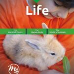 خرید و دانلود نسخه کامل کتاب God’s Design for Life (Student Edition)