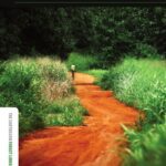 خرید و دانلود نسخه کامل کتاب Governing Africa’s Forests in a Globalized World (The Earthscan Forest  Library)