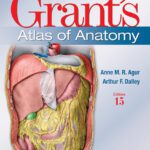 خرید و دانلود نسخه کامل کتاب Grant’s Atlas of Anatomy