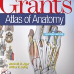 خرید و دانلود نسخه کامل کتاب Grant’s Atlas of Anatomy