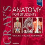 خرید و دانلود نسخه کامل کتاب Gray’s Anatomy for Students (5th Edition) –  +  Pdf