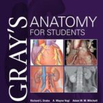 خرید و دانلود نسخه کامل کتاب Gray’s Anatomy for Students