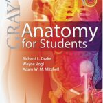 خرید و دانلود نسخه کامل کتاب Gray’s Anatomy for Students