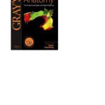 خرید و دانلود نسخه کامل کتاب Gray’s Anatomy: The Anatomical Basis of Clinical Practice, Expert Consult – Online and Print, 40e