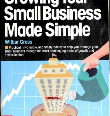 خرید و دانلود نسخه کامل کتاب Growing Your Small Business Made Simple