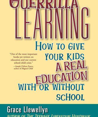خرید و دانلود نسخه کامل کتاب Guerrilla Learning: How to Give Your Kids a Real Education With or Without School