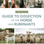 خرید و دانلود نسخه کامل کتاب Guide to Dissection of the Horse and Ruminants