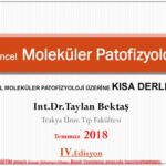 خرید و دانلود نسخه کامل کتاب Güncel Moleküler Patofizyoloji:Kısa Derleme