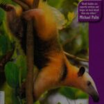 خرید و دانلود نسخه کامل کتاب Guyana (Bradt Travel Guides)