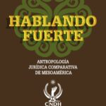 خرید و دانلود نسخه کامل کتاب Hablando fuerte: Antropología jurídica comparativa de Mesoamérica