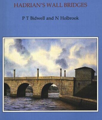 خرید و دانلود نسخه کامل کتاب Hadrian’s Wall Bridges