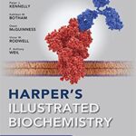 خرید و دانلود نسخه کامل کتاب Harper’s Illustrated Biochemistry, Thirty-Second Edition (32nd Edition) – Orginal Pdf