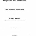 خرید و دانلود نسخه کامل کتاب Hauptfluss und Nebenfluss. :Versncb einer begriffUclien Naclibildang derselben