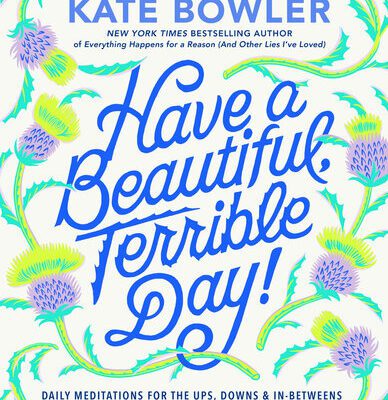 خرید و دانلود نسخه کامل کتاب Have a Beautiful, Terrible Day!: Daily Meditations for the Ups, Downs & In-Betweens