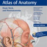 خرید و دانلود نسخه کامل کتاب Head, Neck, and Neuroanatomy