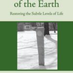 خرید و دانلود نسخه کامل کتاب Healing the Heart of the Earth: Restoring the Subtle Levels of Life