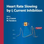خرید و دانلود نسخه کامل کتاب Heart Rate Slowing by If Current Inhibition (Advances in Cardiology)