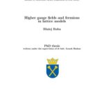 خرید و دانلود نسخه کامل کتاب Higher gauge fields and fermions in lattice models