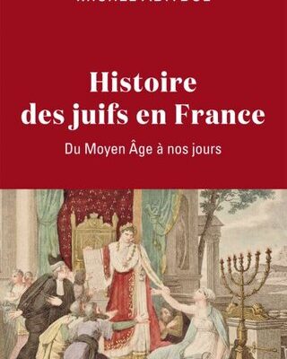 خرید و دانلود نسخه کامل کتاب Histoire des Juifs en France : Du Moyen Âge à nos jours