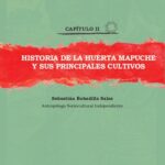 خرید و دانلود نسخه کامل کتاب Historia de la huerta Mapuche (Mapudzungun) y sus principales cultivos