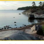 خرید و دانلود نسخه کامل کتاب Holocene sedimentary environment and sediment geochemistry of the Eastern Gulf of Finland, Baltic Sea