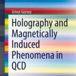 خرید و دانلود نسخه کامل کتاب Holography and Magnetically Induced Phenomena in QCD