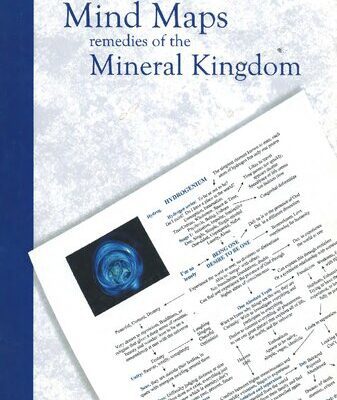 خرید و دانلود نسخه کامل کتاب Homeopathic Mind Maps Remedies Mineral Kingdom