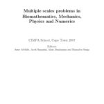 خرید و دانلود نسخه کامل کتاب Homogenization, Multiple scales problems in Biomathematics, Mechanics, Physics and Numerics, CIMPA AIMS, Cape Town 2007