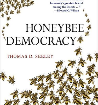 خرید و دانلود نسخه کامل کتاب Honeybee Democracy