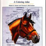 خرید و دانلود نسخه کامل کتاب Horse Anatomy : A Coloring Atlas
