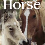 خرید و دانلود نسخه کامل کتاب Horse (Eye Wonder)