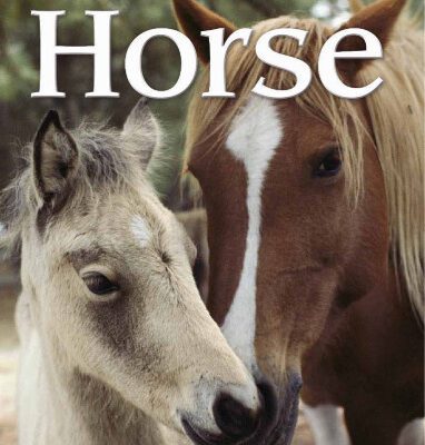 خرید و دانلود نسخه کامل کتاب Horse (Eye Wonder)