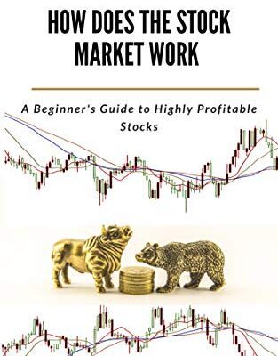 خرید و دانلود نسخه کامل کتاب HOW DOES THE STOCK MARKET WORK: A Beginner’s Guide to Highly Profitable Stocks –  +  PDF
