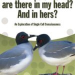 خرید و دانلود نسخه کامل کتاب How Many People Are There in My Head? and in Hers?: An Exploration of Single Cell Consciousness