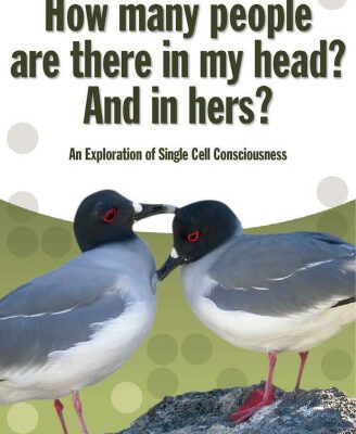 خرید و دانلود نسخه کامل کتاب How Many People Are There in My Head? and in Hers?: An Exploration of Single Cell Consciousness