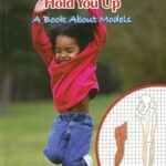 خرید و دانلود نسخه کامل کتاب How Muscles and Bones Hold You Up: A Book About Models (Big Ideas for Young Scientists) – PDF