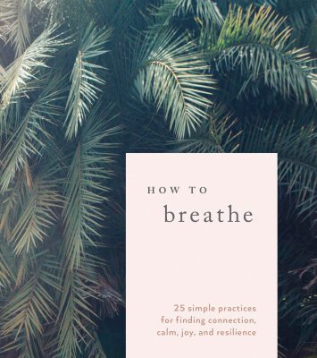 خرید و دانلود نسخه کامل کتاب How to Breathe: 25 Simple Practices for Calm, Joy, and Resilience