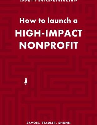 خرید و دانلود نسخه کامل کتاب How to Launch a High-Impact Nonprofit