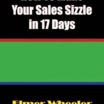 خرید و دانلود نسخه کامل کتاب How To Make Your Sales Sizzle in 17 Days