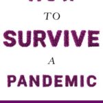 خرید و دانلود نسخه کامل کتاب How to Survive a Pandemic