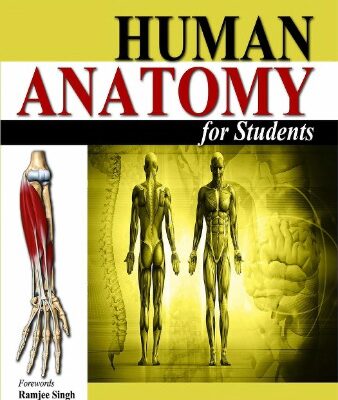 خرید و دانلود نسخه کامل کتاب Human anatomy for students