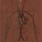 خرید و دانلود نسخه کامل کتاب Human anatomy. In three volumes. Vol. 2