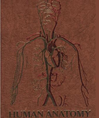 خرید و دانلود نسخه کامل کتاب Human anatomy. In three volumes. Vol. 2