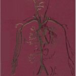 خرید و دانلود نسخه کامل کتاب Human anatomy. In three volumes. Vol. 3
