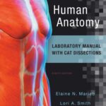 خرید و دانلود نسخه کامل کتاب Human Anatomy Laboratory Manual with Cat Dissections