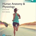 خرید و دانلود نسخه کامل کتاب Human Anatomy & Physiology, Global Edition 2nd edition
