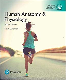 خرید و دانلود نسخه کامل کتاب Human Anatomy & Physiology, Global Edition 2nd edition_68ba301c660e0.jpeg خرید و دانلود نسخه کامل کتاب Human Anatomy & Physiology, Global Edition 2nd edition